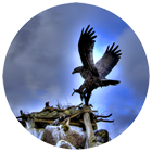 High Dynamic Range HDR Photography